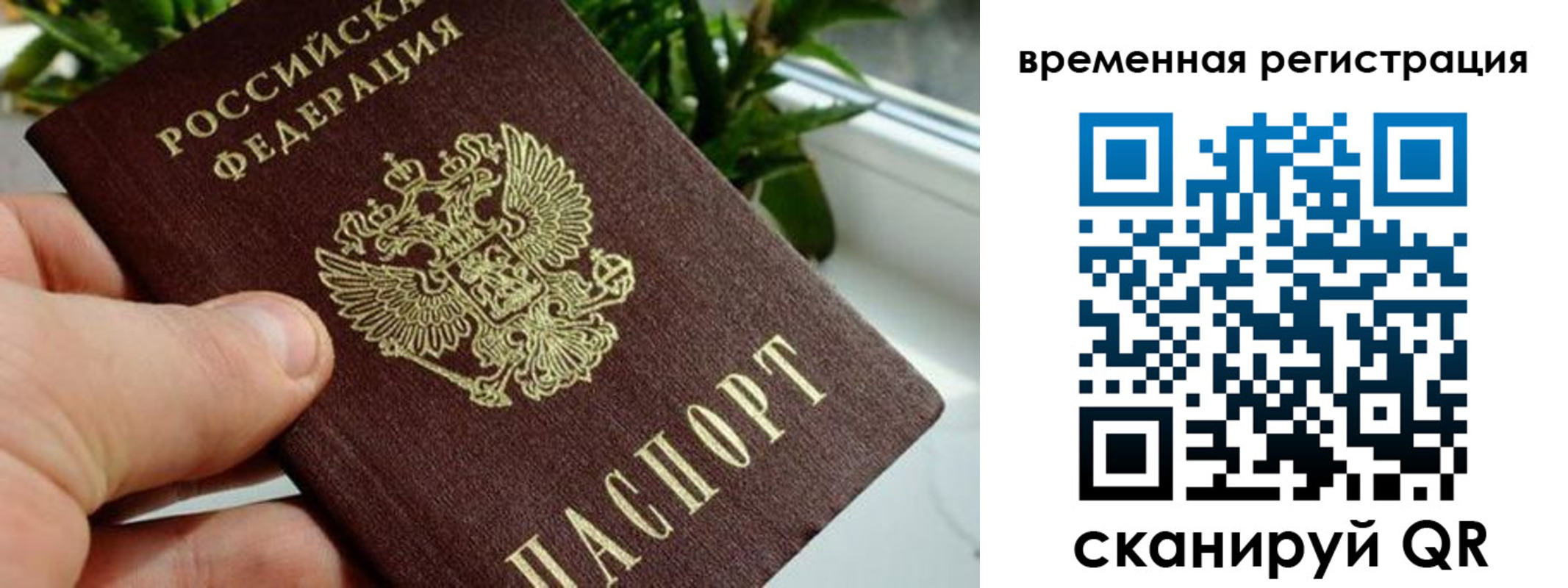 прописка поиск в Сочи